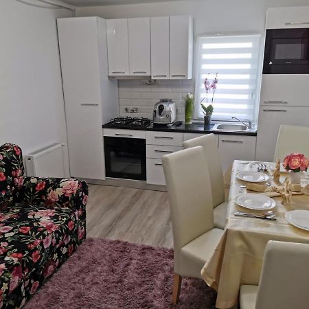 Apartament Gold Luxury Apartment Tirgu Ocna Ngoại thất bức ảnh